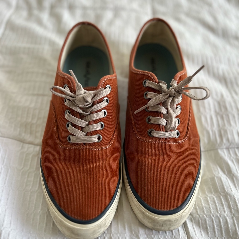 Seavees